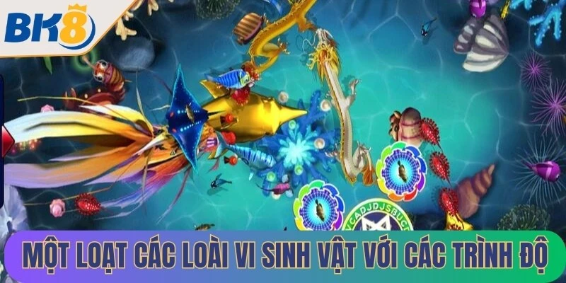 Một loạt các loài vi sinh vật với các trình độ cùng kích thước khác nhau