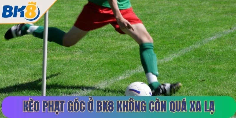 Kèo phạt góc ở BK8 không còn quá xa lạ với người chơi