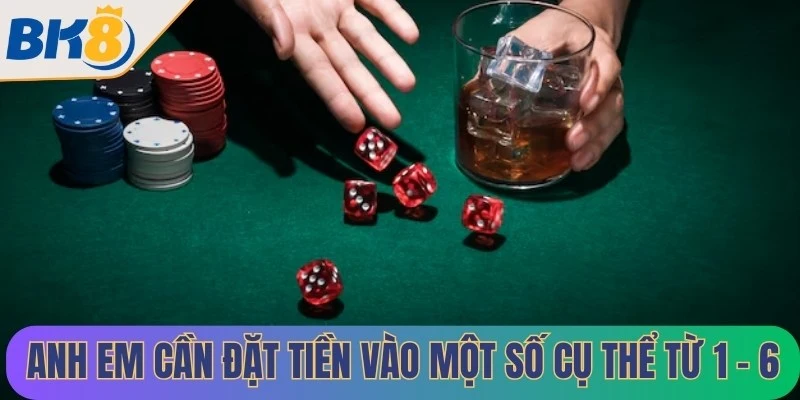 Anh em cần đặt tiền vào một số cụ thể từ 1 đến 6